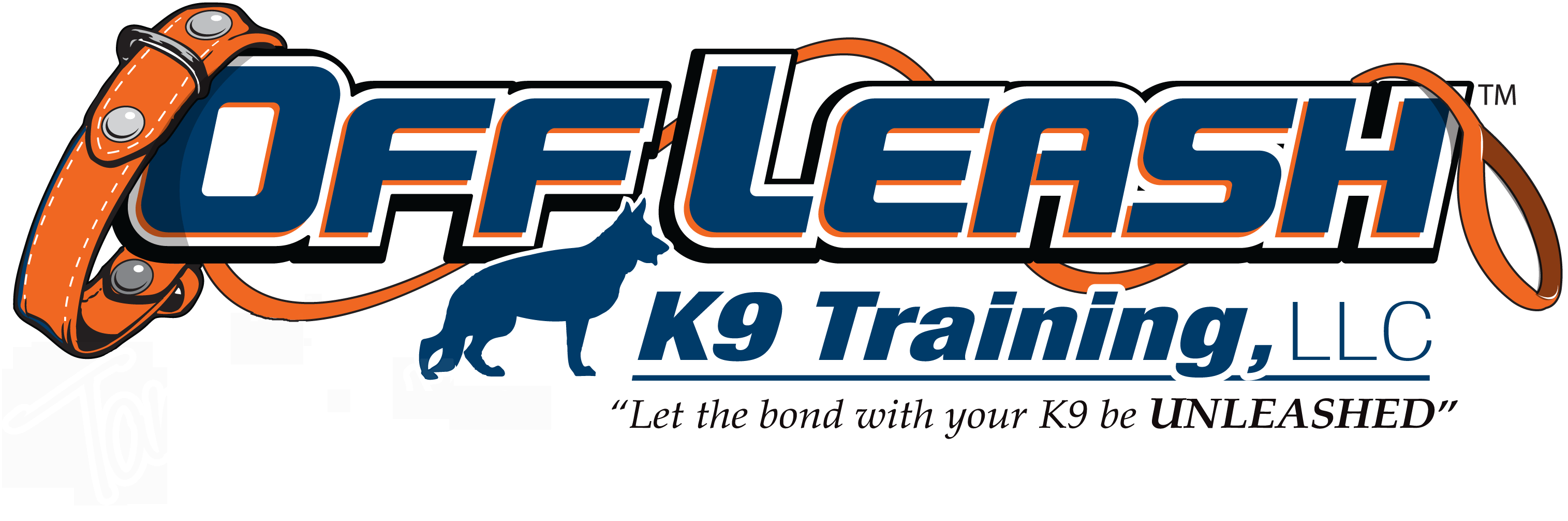 Offleash K9 Dog Training in Laredo Texas