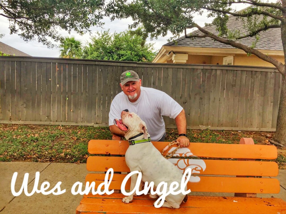 Dog Obedience Trainer Laredo Texas Dog Training Laredo Texas Dog